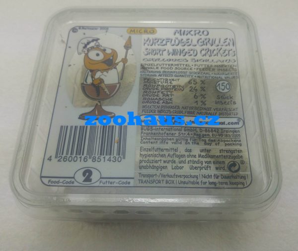 Cvrček krátkokřídlý - Grillodes sigillatus micro, krabička cca 150ks