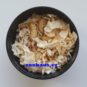 Zavíječ voskový - larvy cca. 35 ks